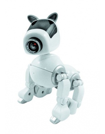 Single product image