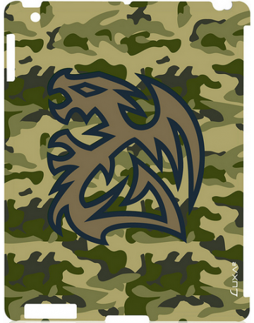 Single product image