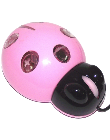 Single product image