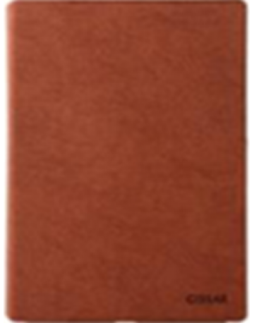 Single product image