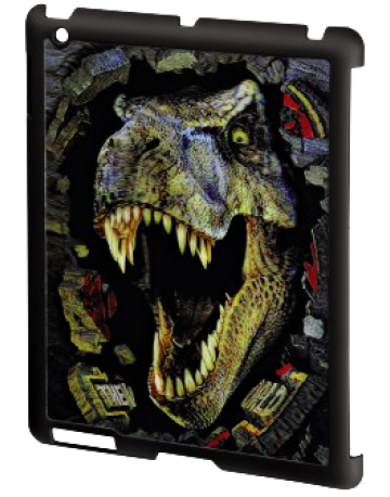 Single product image