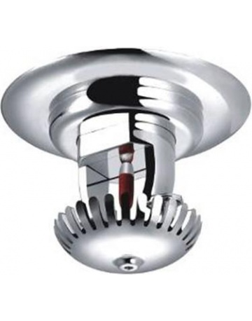 Single product image
