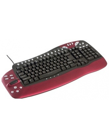 Single product image