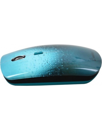 Single product image